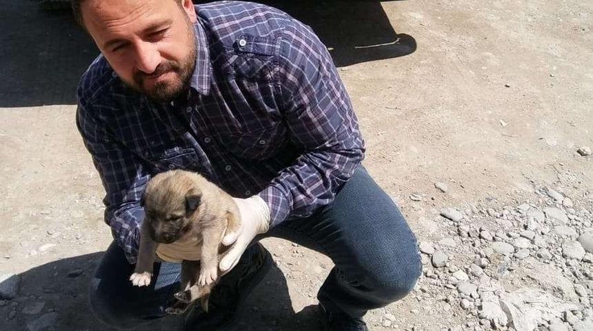 Annesi &ouml;len yavru k&ouml;peğe belediye &ccedil;alışanları sahip &ccedil;ıktı