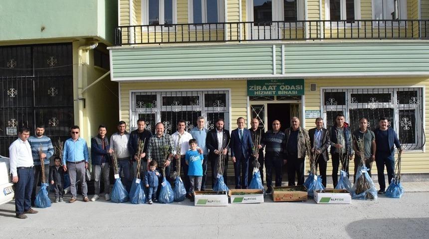 Sungurlu&rsquo;da tohum ve fidan dağıtımı yapıldı