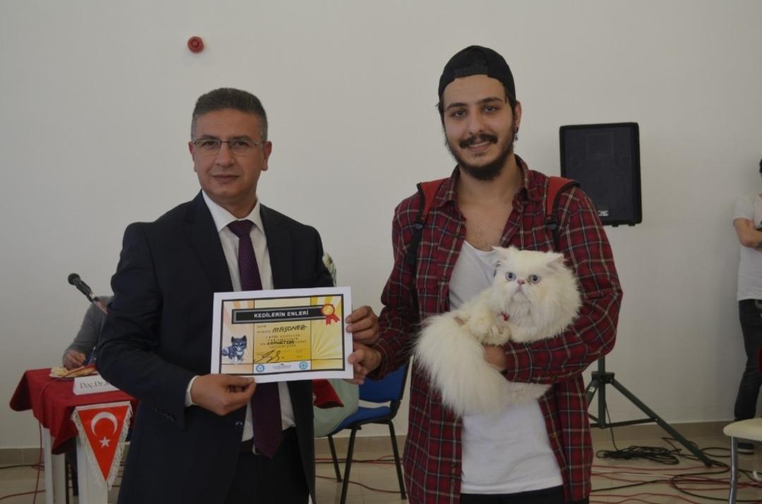 (&Ouml;zel) &Uuml;&ccedil; ayaklı şampiyon