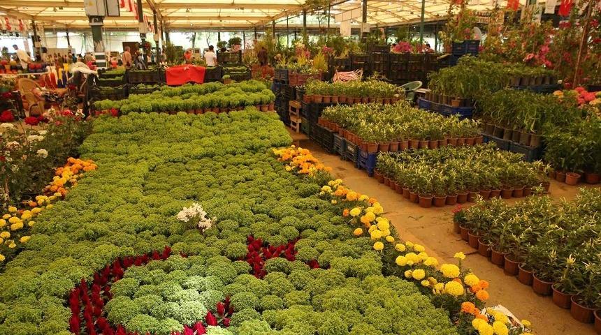 Karşıyaka’da en güzel balkon ve bahçeler seçiliyor