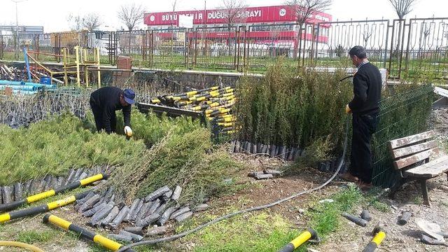 Tuşba Belediyesinden bahar seferberliği