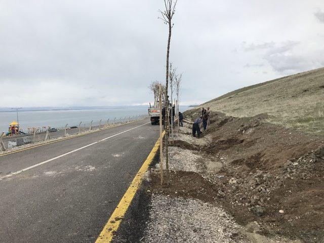 Tuşba Belediyesinden bahar seferberliği