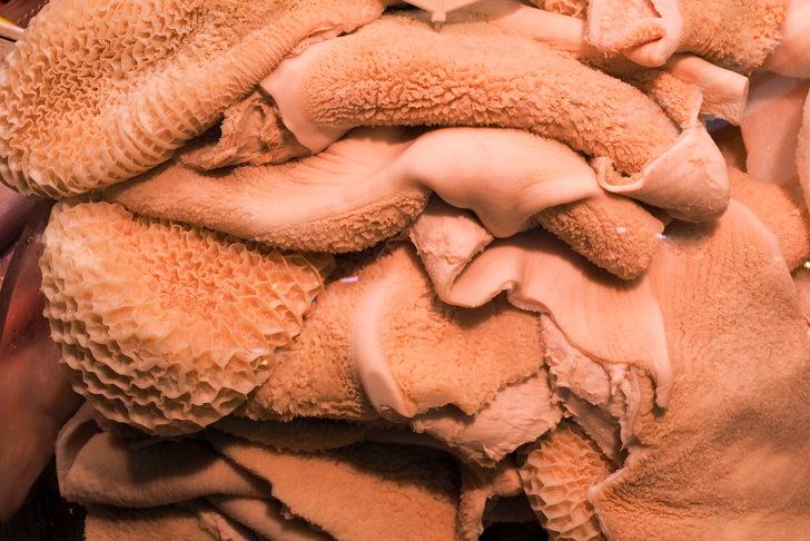 Zararlı sanıyorduk! Sağlığımız için öyle bir faydası çıktı ki... G5