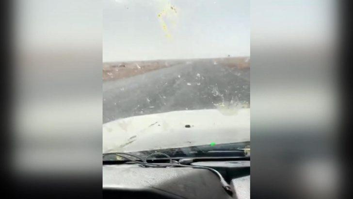 Suudi Arabistan'ı çekirgeler bastı! Korkutan görüntü G5