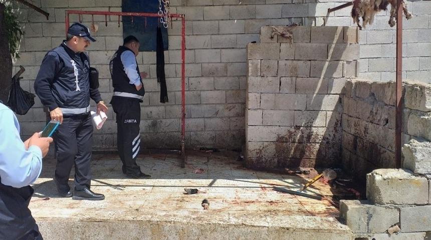 Kent merkezinde hayvan besiciliği yapanlara uyarı