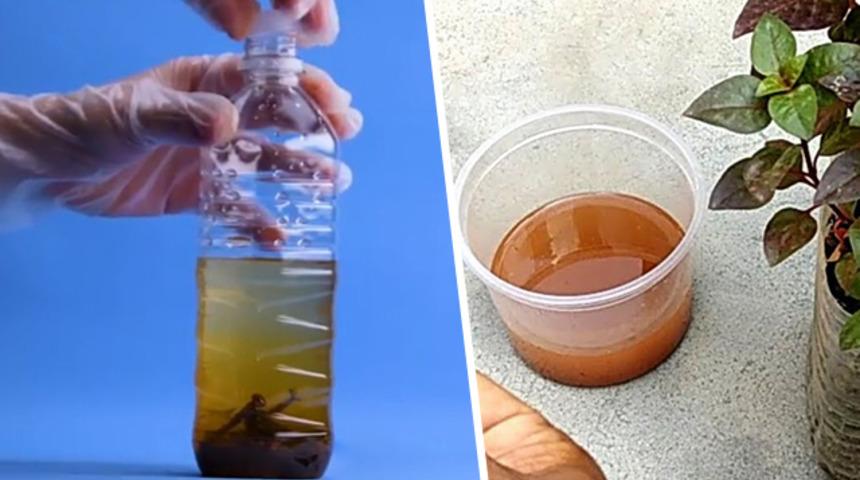 Paslı &ccedil;iviyi plastik şişenin i&ccedil;ine koydu! İşte şoke edici nedeni