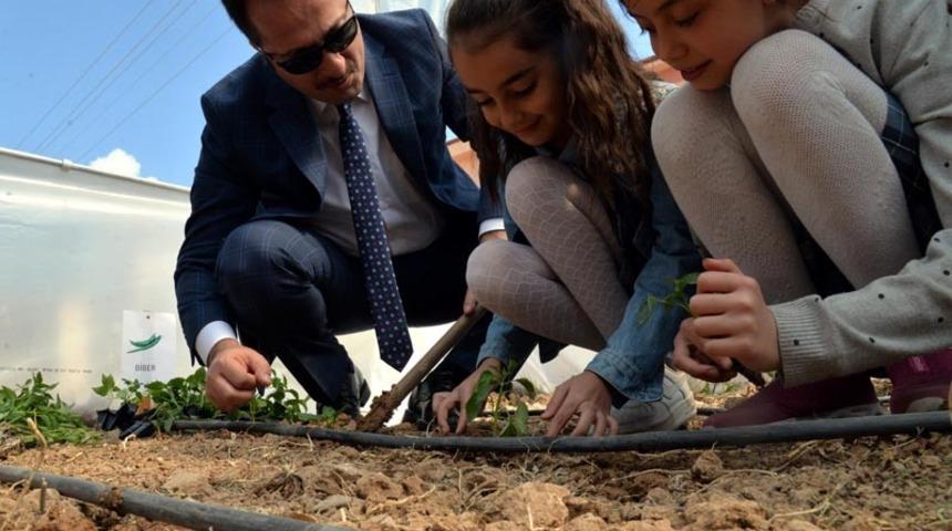 Vali Şentürk, öğrencilerle fidan dikti