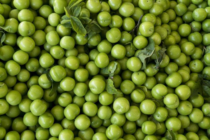 Erik yedikten sonra mutlaka bunu yapın! G1