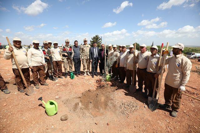 Şehitkamil 18’inci ormanına kavuştu