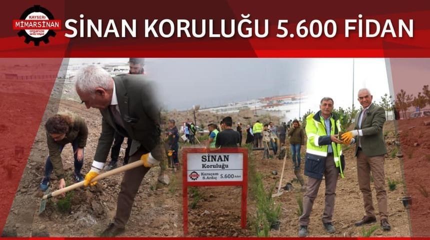 Sinan Koruluğu&rsquo;nda ilk fidanlar toprakla buluştu