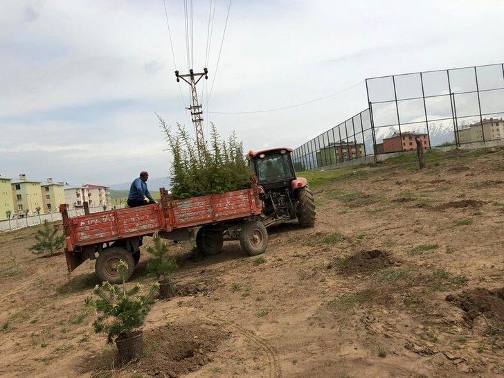 Güroymak’ta yeşillendirme çalışmaları G2