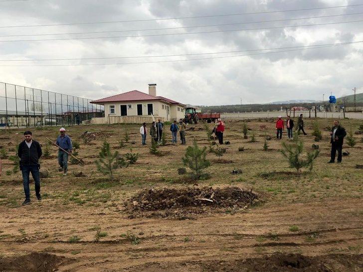 Güroymak’ta yeşillendirme çalışmaları G3