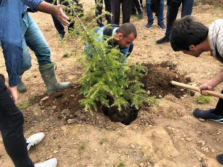 Güroymak’ta yeşillendirme çalışmaları G4