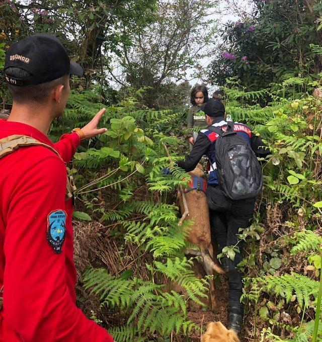 Kayıp torunu 17 saat sonra bulunan babaanne: B&ouml;yle korku yaşamadım 2