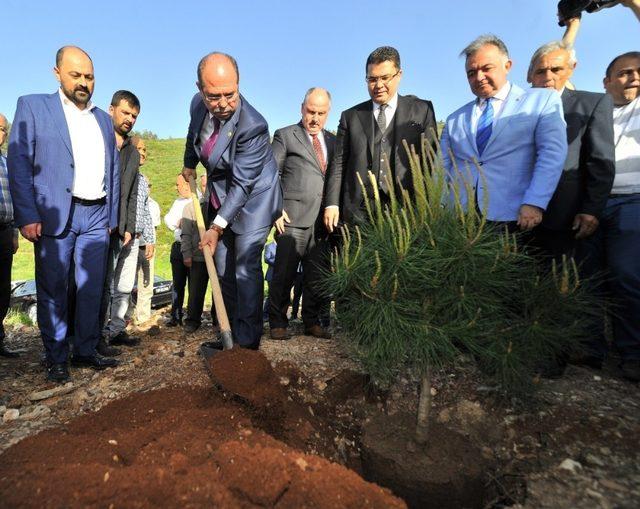 Hasan Ersoy Hatıra Ormanı’na ilk fidanlar dikildi