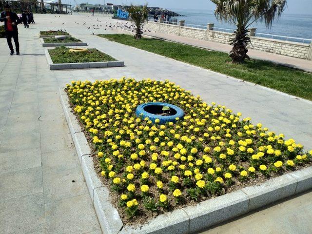 Tatil beldesi Akçakoca’da parklar mevsimlik  çiçeklerle süsleniyor