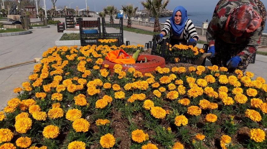 Tatil beldesi Akçakoca’da parklar mevsimlik  çiçeklerle süsleniyor