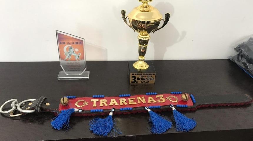 K&ouml;pek D&ouml;v&uuml;ş&uuml; Arenasına Jandarma Baskını