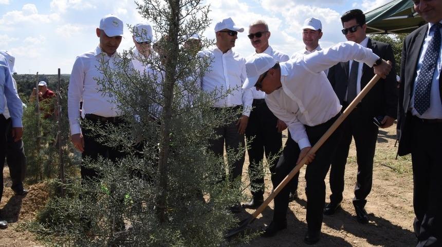 Manisa&rsquo;da 400 fidan toprakla buluştu