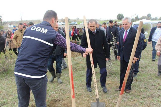 Şehitler anısına fidan