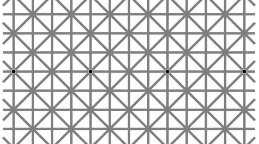 Bu resimdeki ill&uuml;zyon akıllara durgunluk veriyor! 12 noktayı...