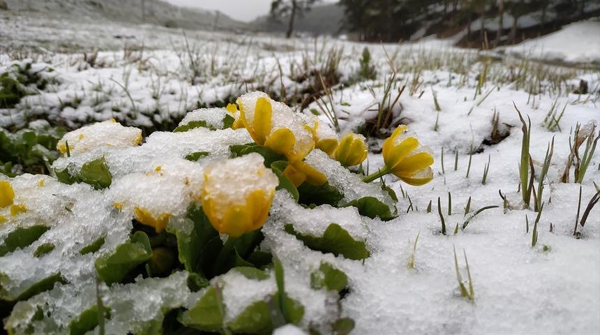 Kars'a Mayıs ayında kar yağdı