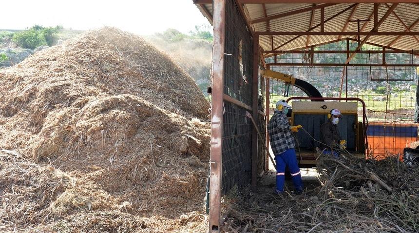 Kimyasala karşı kompost