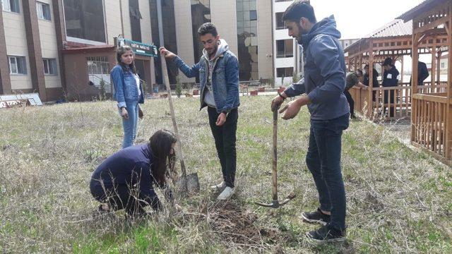 Kafkas Üniversitesi  öğrencileri fidan dikti