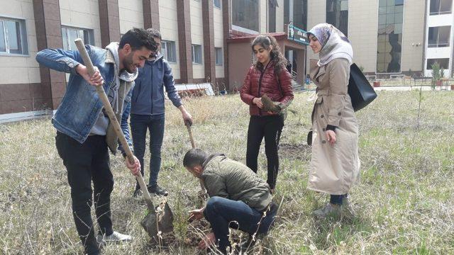 Kafkas Üniversitesi  öğrencileri fidan dikti