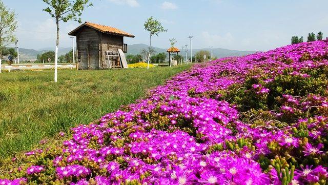 Evlenecek çiftlerin fotoğraf çekim yolu