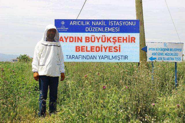 Arıcıların sorunu çözüldü