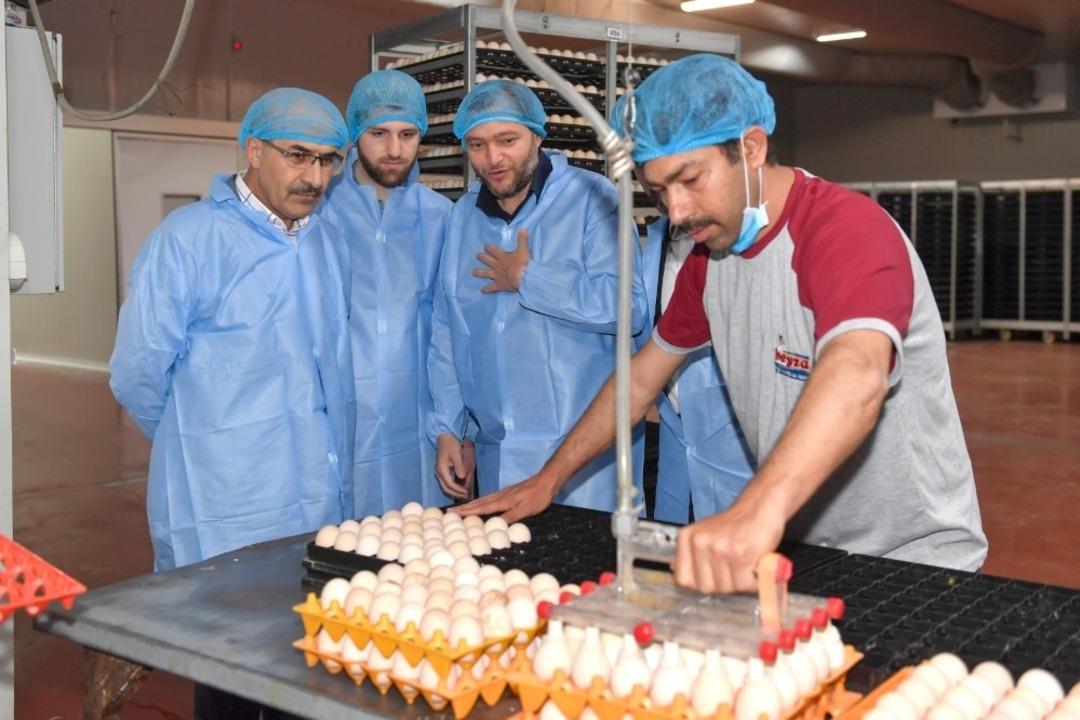 Vali Demirtaş, Beyza Pili&ccedil; tesislerinde incelemelerde bulundu