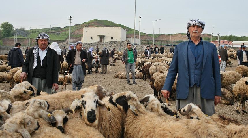 Hayvan oteli ve hayvan borsası yaptırılacak