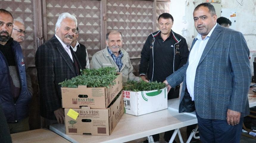 Aksaray&rsquo;da Ziraat Odası &ccedil;ift&ccedil;ilere 500 bin fide dağıttı