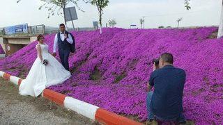 'Evlenecek çiftlerin işine yaradı'
