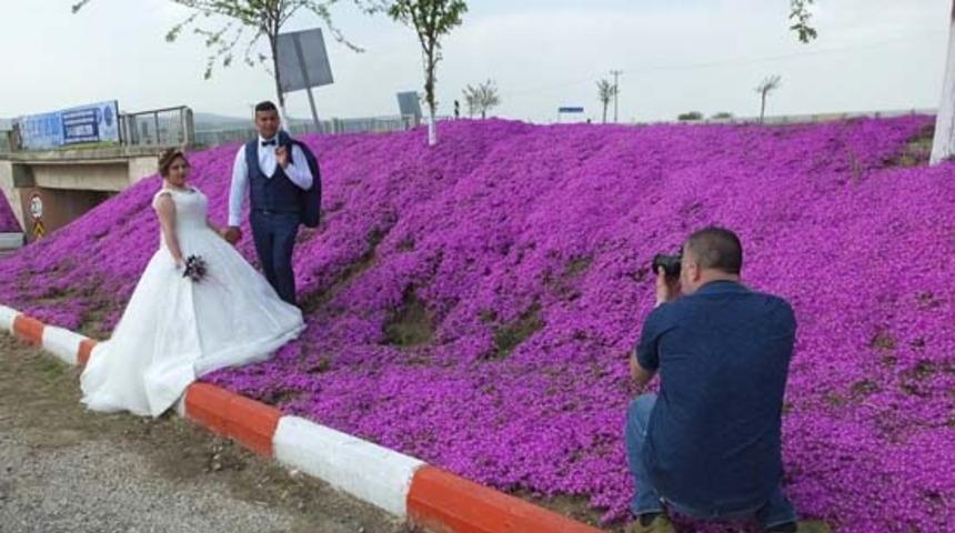 'Evlenecek çiftlerin işine yaradı'