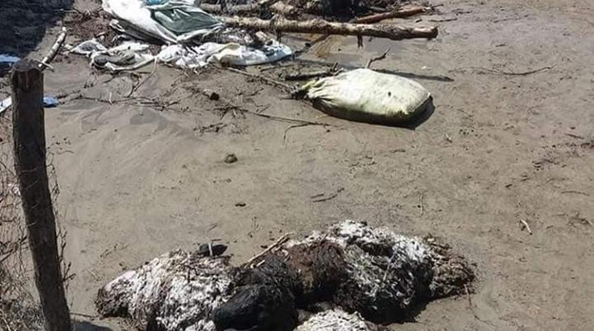 Yağışlar bir ahırın &ccedil;&ouml;kmesine neden oldu