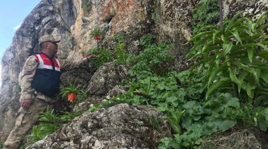 Yılın sadece 15 günü açıyor! Koruma altına alındı