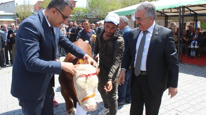 Tuzluca&rsquo;da 2. Buzağı, Kuzu ve Oğlak G&uuml;zellik Yarışması d&uuml;zenlendi