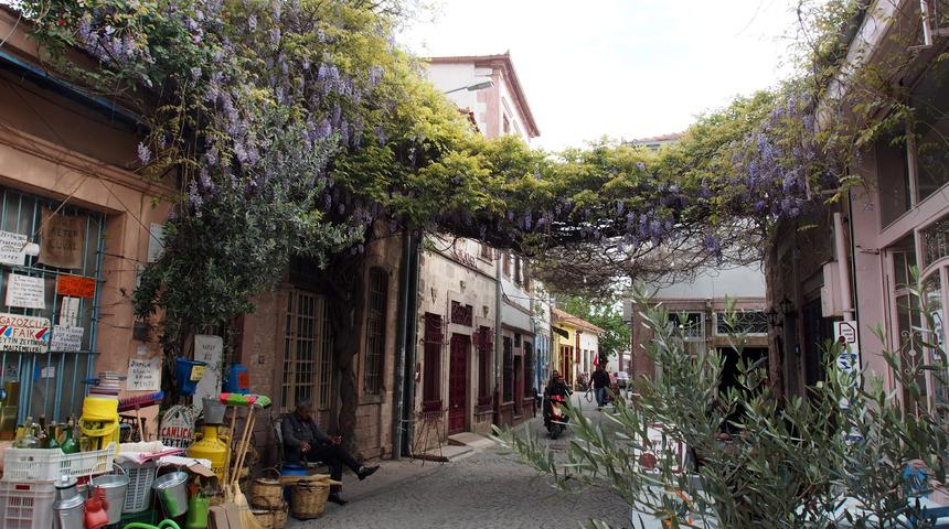 Ayvalık&rsquo;ta mor salkım g&uuml;zelliği