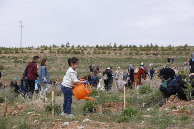 Büyükşehir Belediyesi, Sarımsaklı Barajı’nda doğa yürüyüşü ve fidan dikme etkinliği yaptı