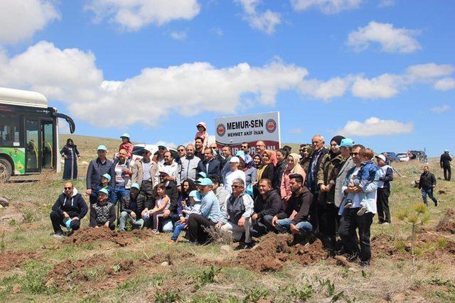 Memur Sen Üyeleri Hatıra Ormanına Ağaç Dikti