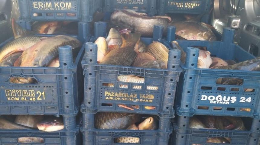 Jandarma ekipleri av yasağına uymayan 58 kişiyi yakaladı