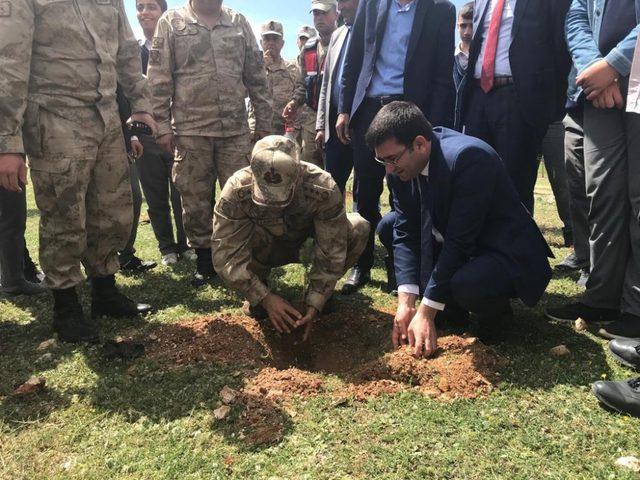 Adıyaman İl Jandarma Komutanlığı çam ve söğüt fidanları dikti