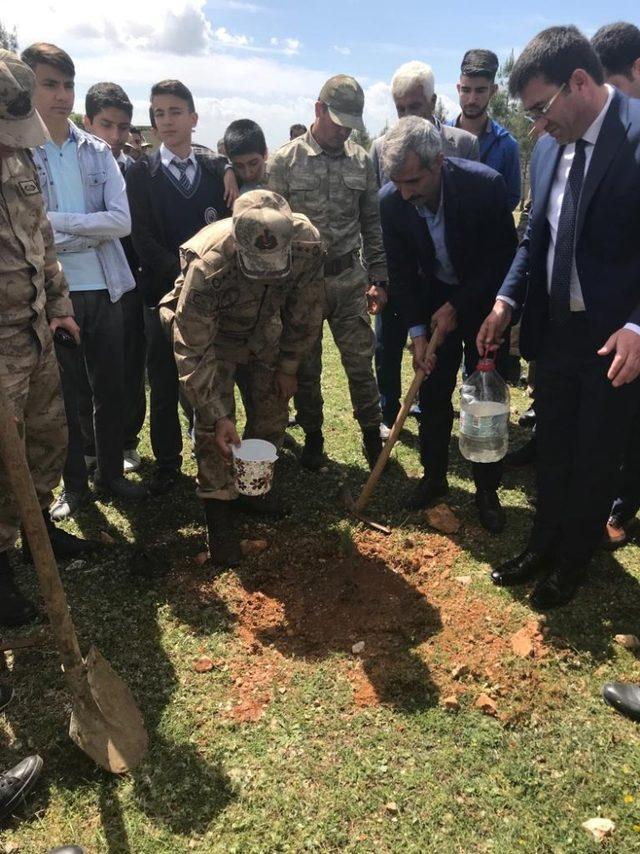 Adıyaman İl Jandarma Komutanlığı çam ve söğüt fidanları dikti