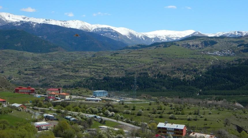 Posof&rsquo;ta bahar &ccedil;i&ccedil;ekleri a&ccedil;tı