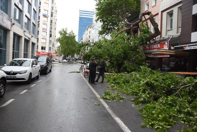 İzmir'de fırtınadan dolayı vapur seferleri iptal edildi