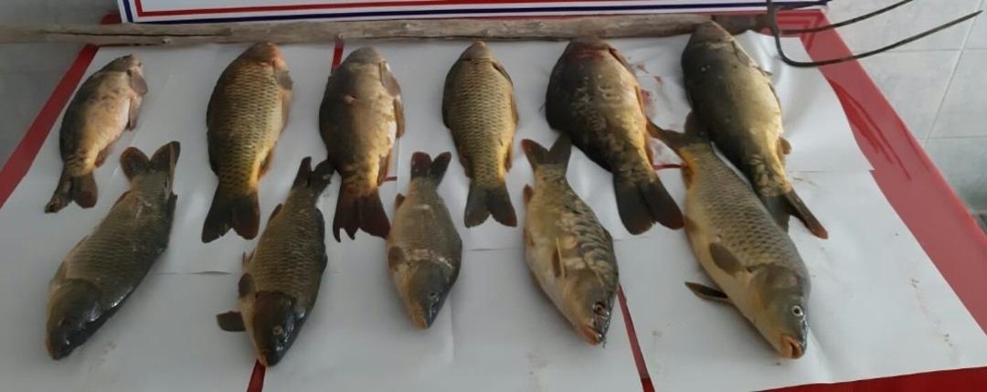 Ka&ccedil;ak avlanma yapan 7 kişiye 11 bin TL para cezası