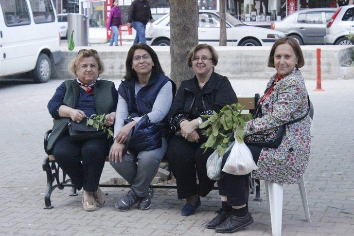 Kırklareli’de Hıdırellez Şenliği G4