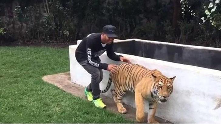 Balotelli yine yaptı yapacağını! Evinde beslediği hayvan... G1